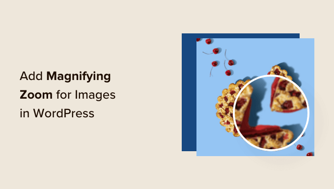 how-to-add-magnifying-zoom-for-images-in-wordpress-og