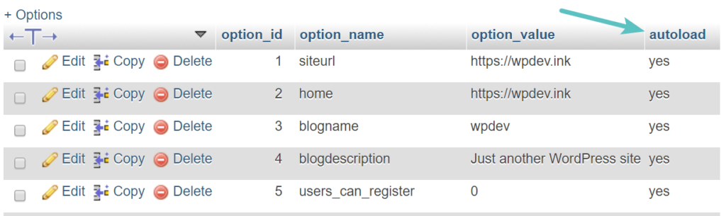 如何清理wp_options表和自动加载的数据插图2