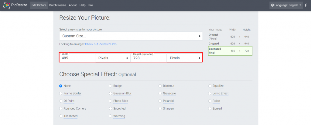 Improve WordPress site performance by zooming images. Illustration8