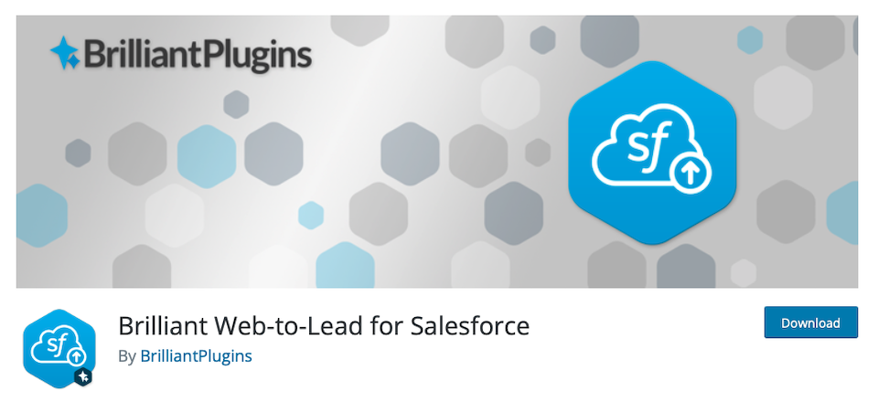 如何集成Salesforce Web-to-Lead和WordPress插图2