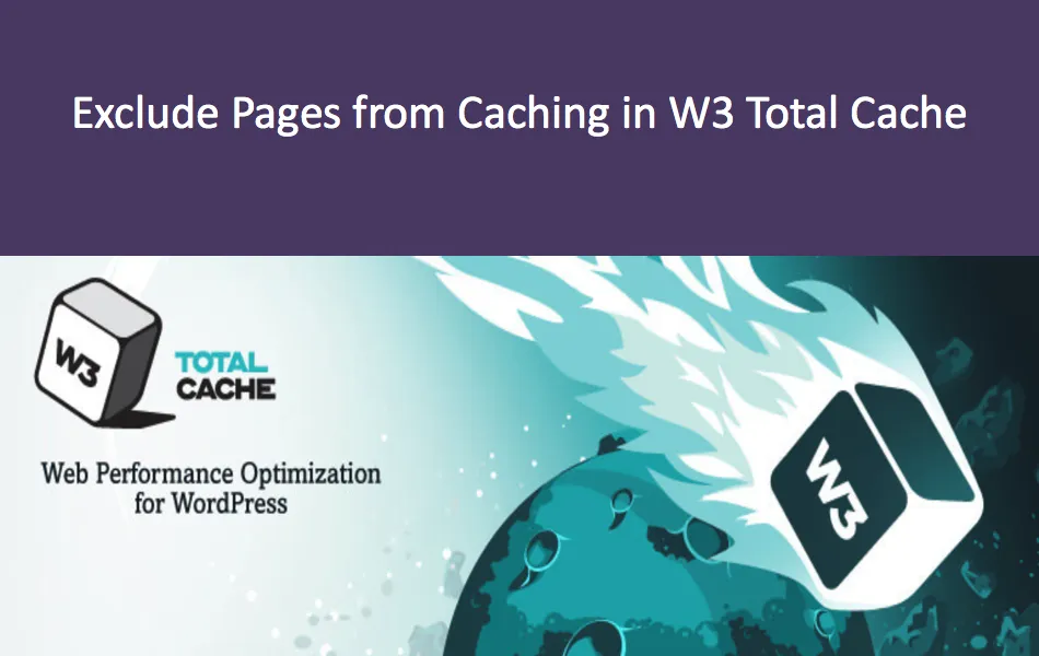 Excluding page and catalog illustrations from the W3 Total Cache plug-in cache