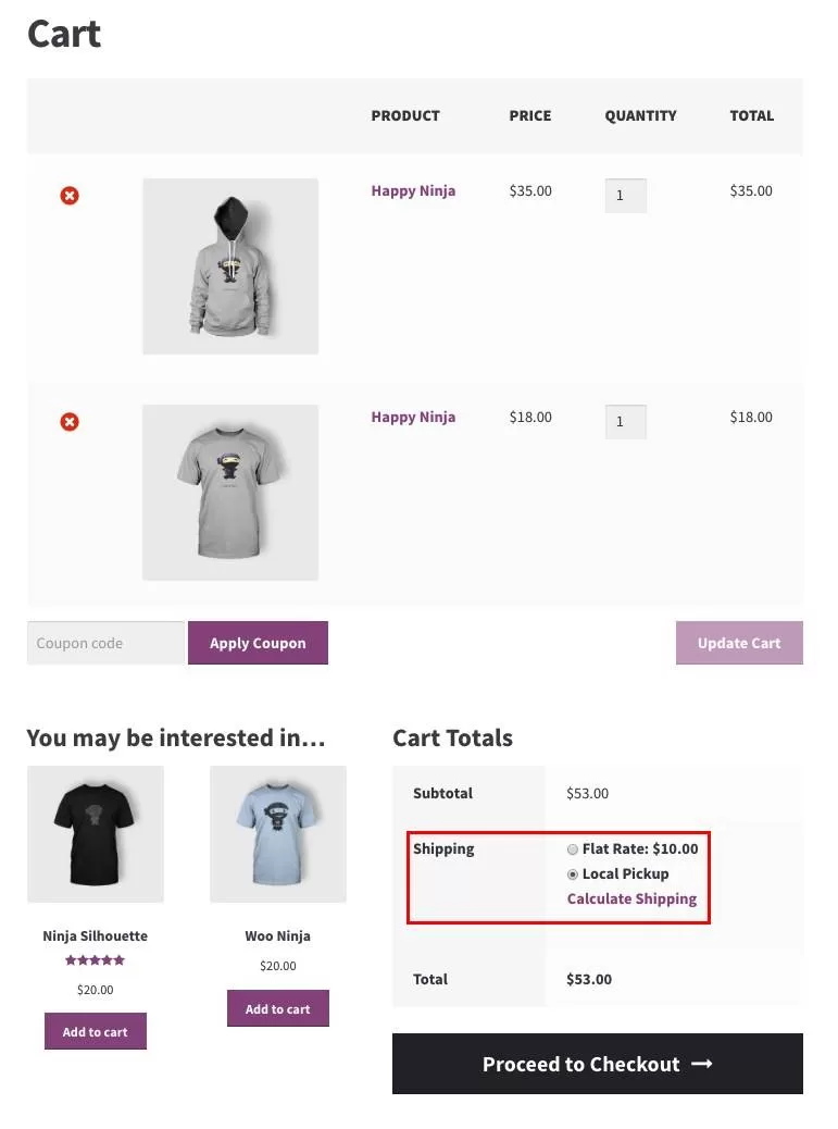 How to set shipping options for WooCommerce (+ tips for perfect shipping policy) illustration1