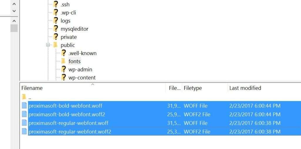 在WordPress网站服务器托管Web字体的深入指南插图8