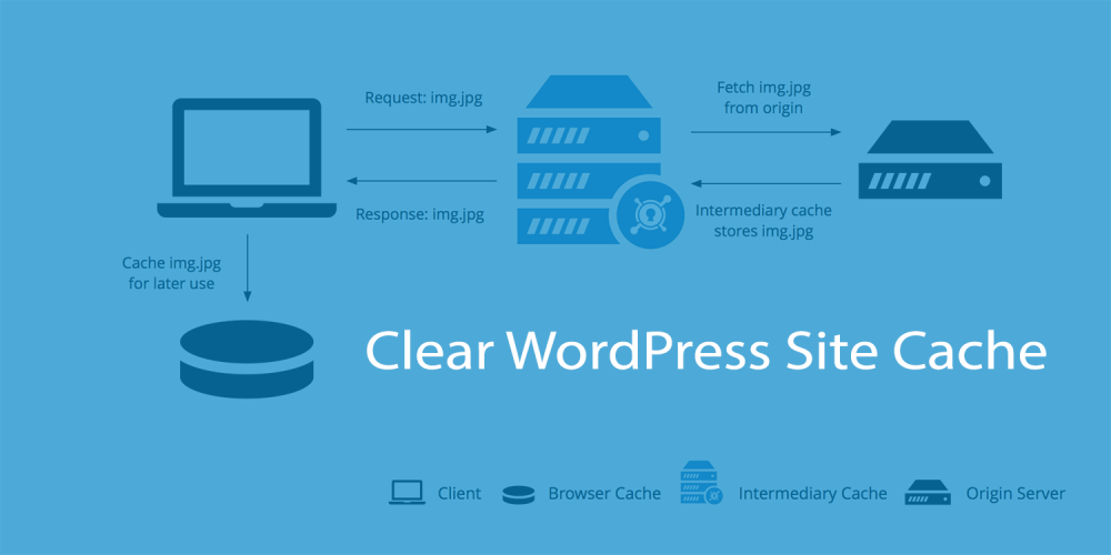 How to clear WordPress site cache illustrations