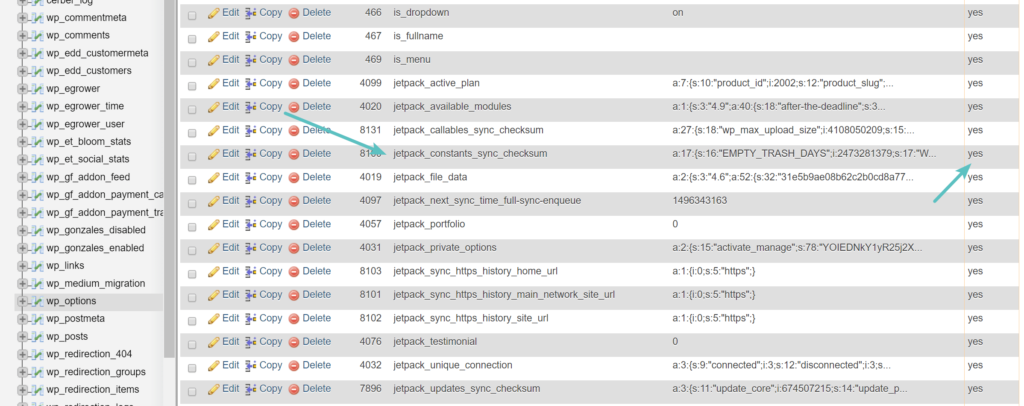 How to clean up wp_options tables and automatically loaded data illustrations14